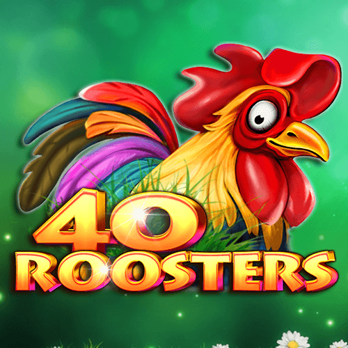 40 Roosters