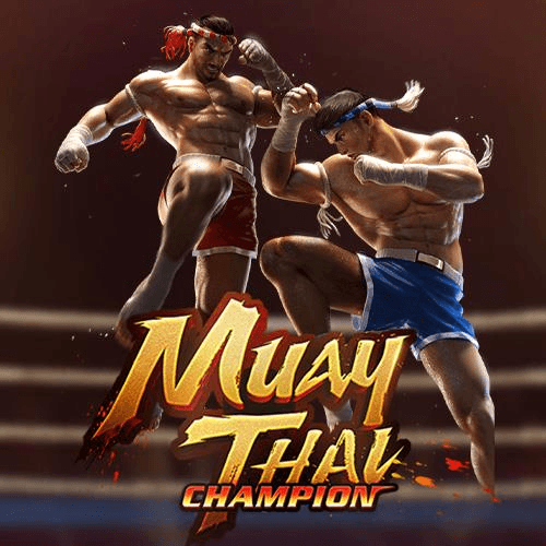Muay Thai Champion