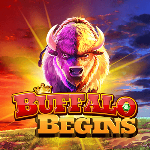 Buffalo Begins