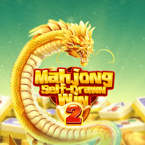 Mahjong Self-Drawn Win 2