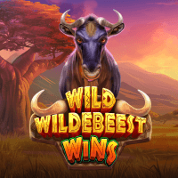 Wild Wildebeest Wins