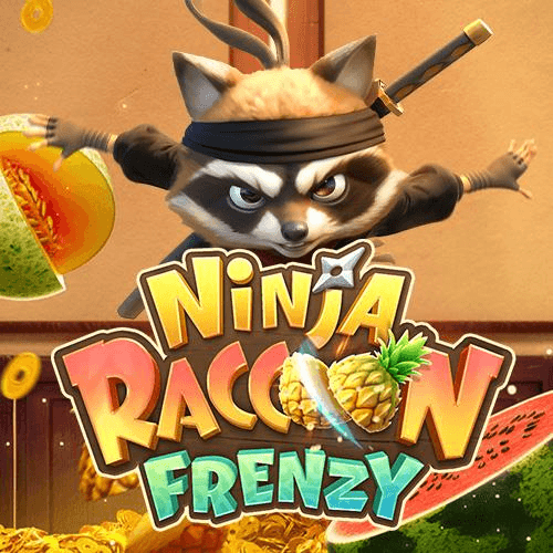 Ninja Racoon Frenzy