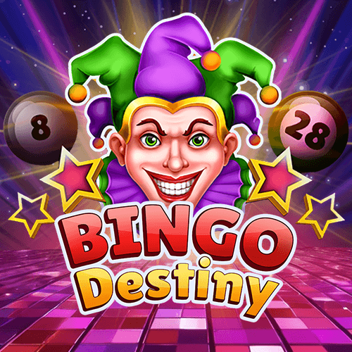 Bingo Destiny