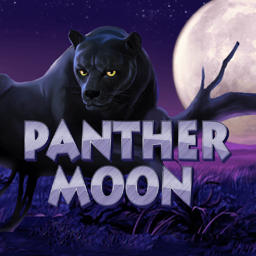 Panther Moon