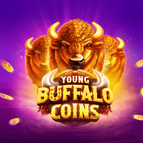 Young Buffalo Coins