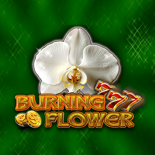 Burning Flower