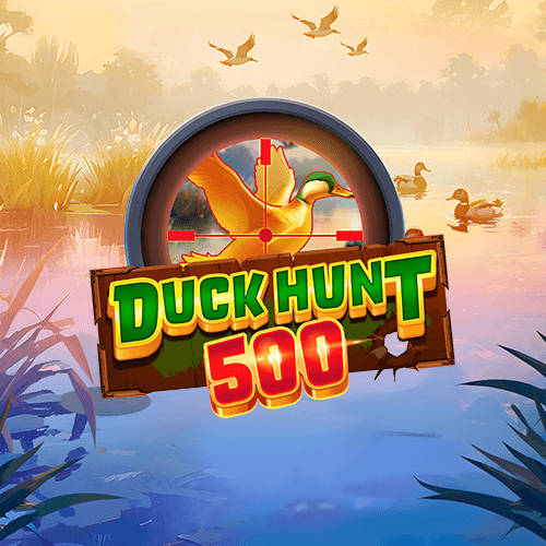 Duck Hunt 500